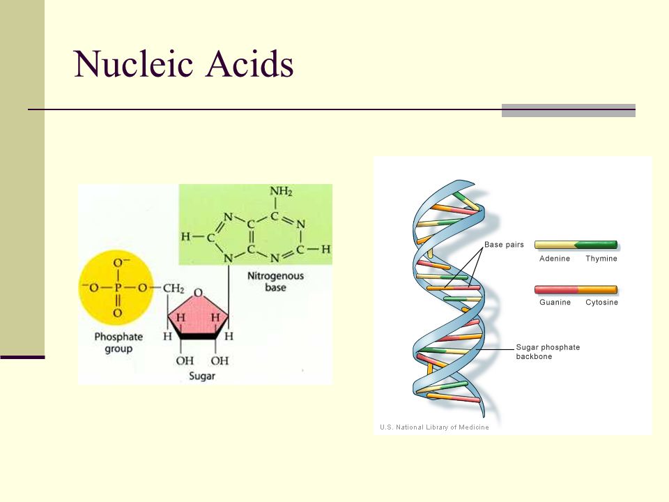 download Clinical Therapeutic Application