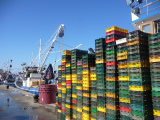 Gestapelte Fischkisten am Hafen
