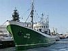 Museumsschiff Gera in Bremerhaven