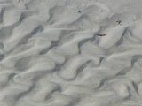 Wellenmuster im Sand auf Langeoog