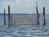 Stellnetze im flachen Wasser