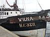 Wilma