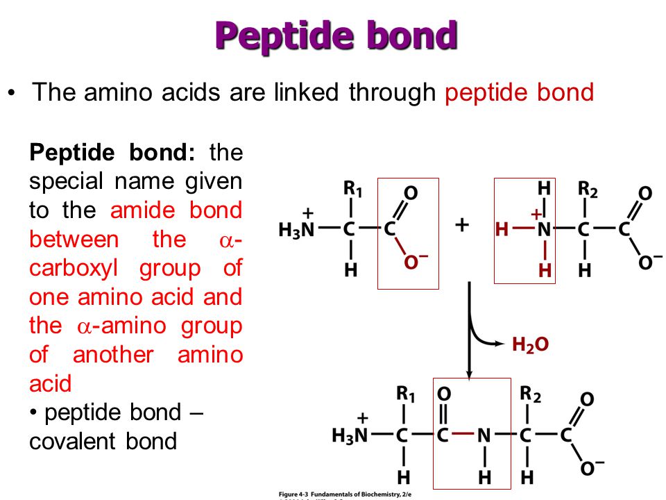 download Inorganic Mass